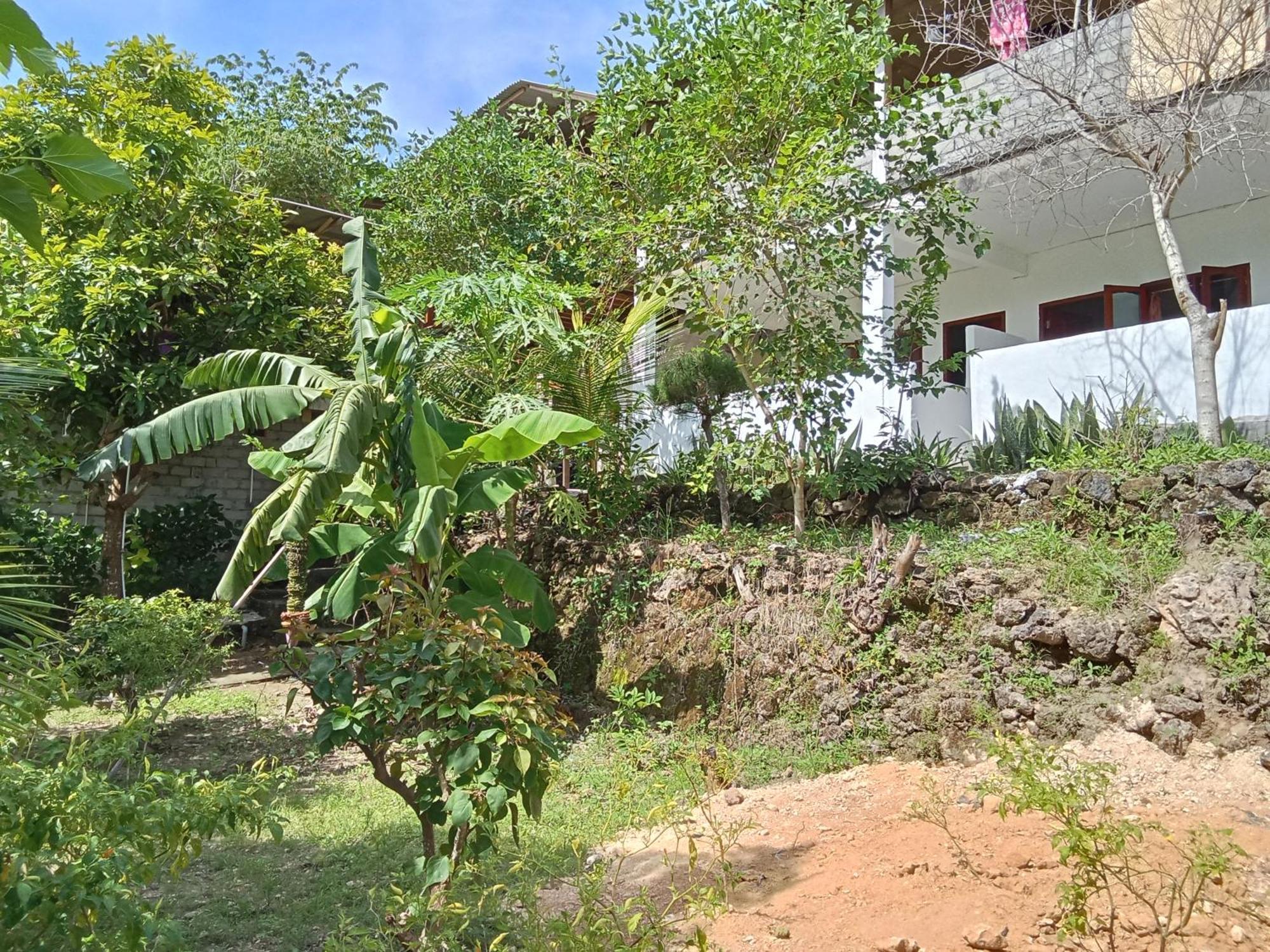 Feby'S Homestay Ekas Exterior photo